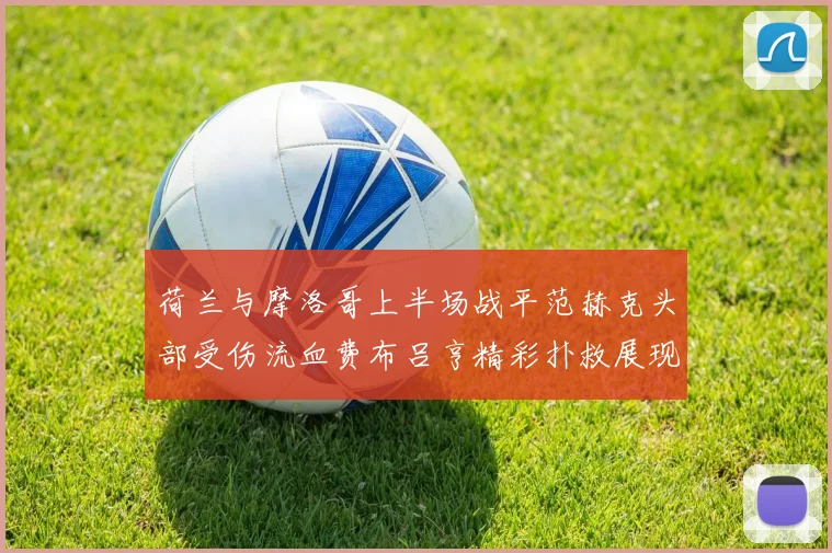 荷兰与摩洛哥上半场战平范赫克头部受伤流血费布吕亨精彩扑救展现实力