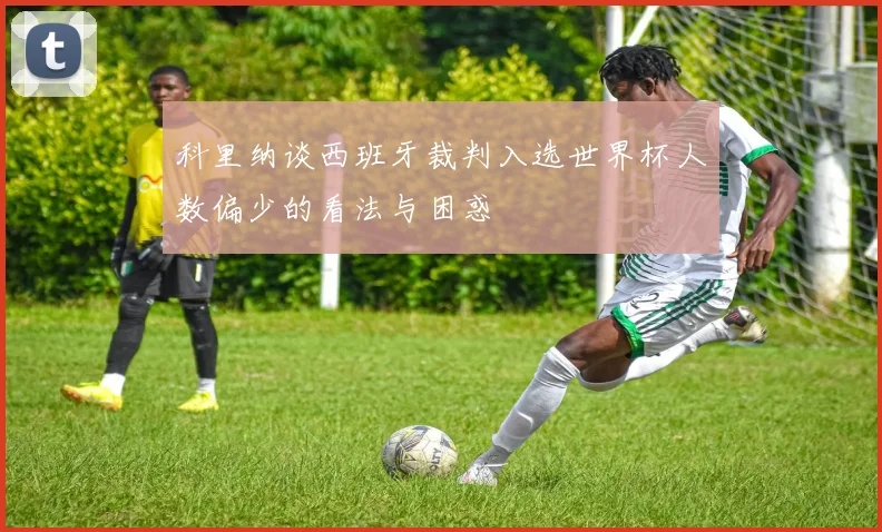 科里纳谈西班牙裁判入选世界杯人数偏少的看法与困惑