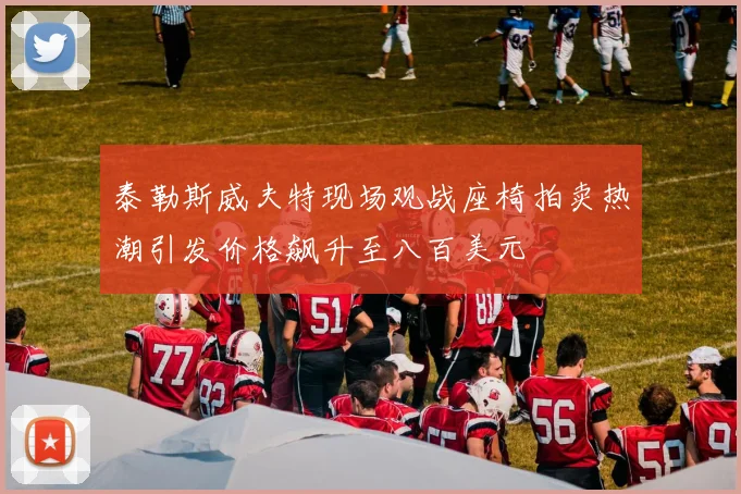 泰勒斯威夫特现场观战座椅拍卖热潮引发价格飙升至八百美元